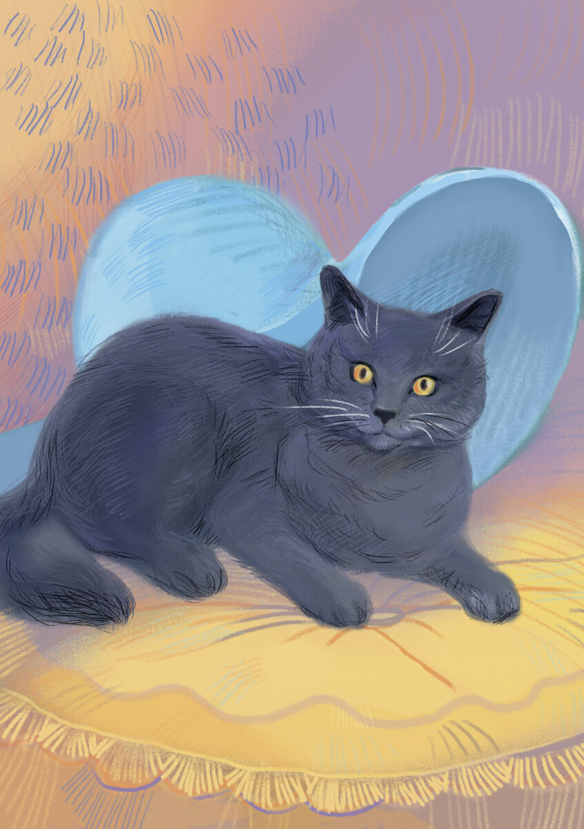 С тех пор, как в семье появился кот Фарадей, жизнь засияла новыми красками