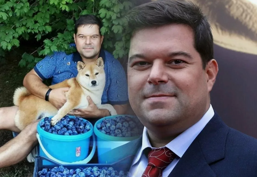 Похудевший бабаев: найдено 88 изображений