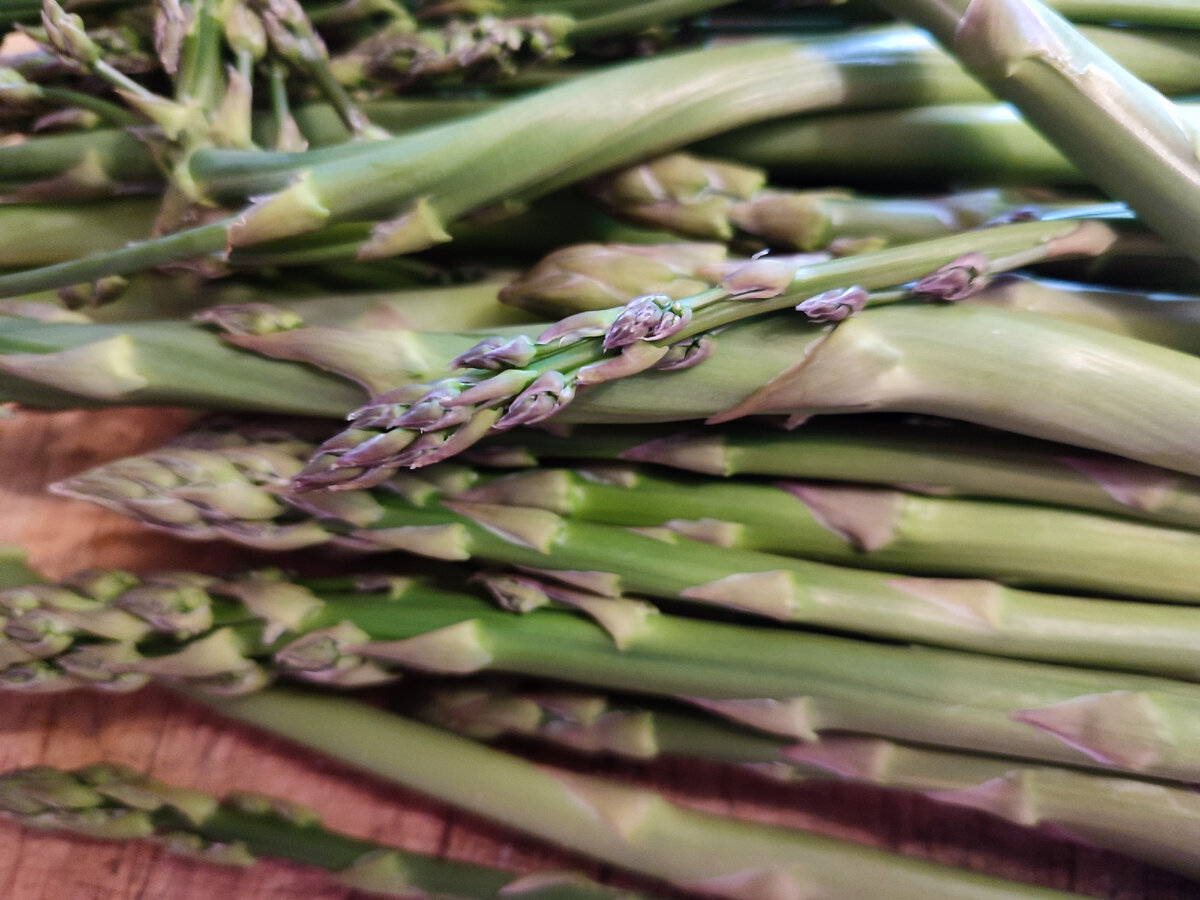 Спаржа со своей грядки