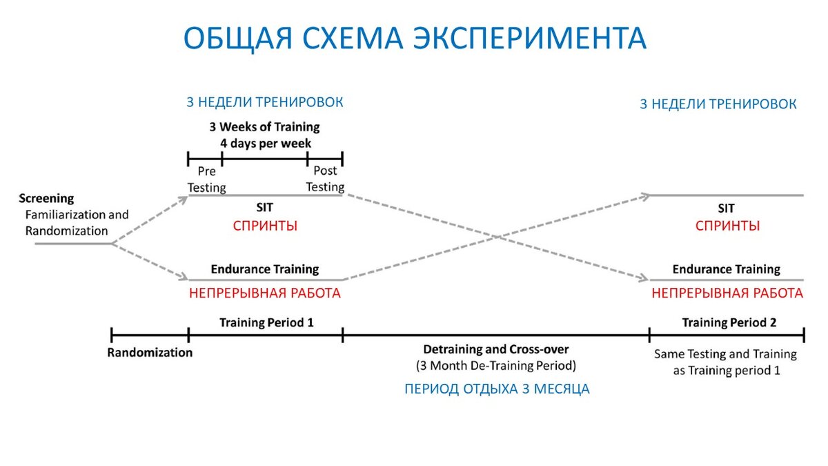 Рисунок 1. Схема эксперимента.