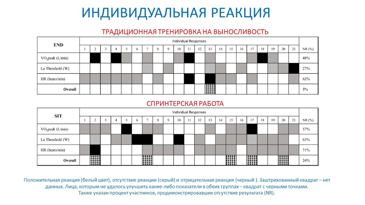 Индивидуальная реакция на разные интервальные тренировки | Василий Волков |  Дзен