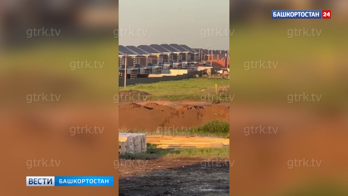    В уфимском Нагаево сняли на видео лосиху с двумя лосятами