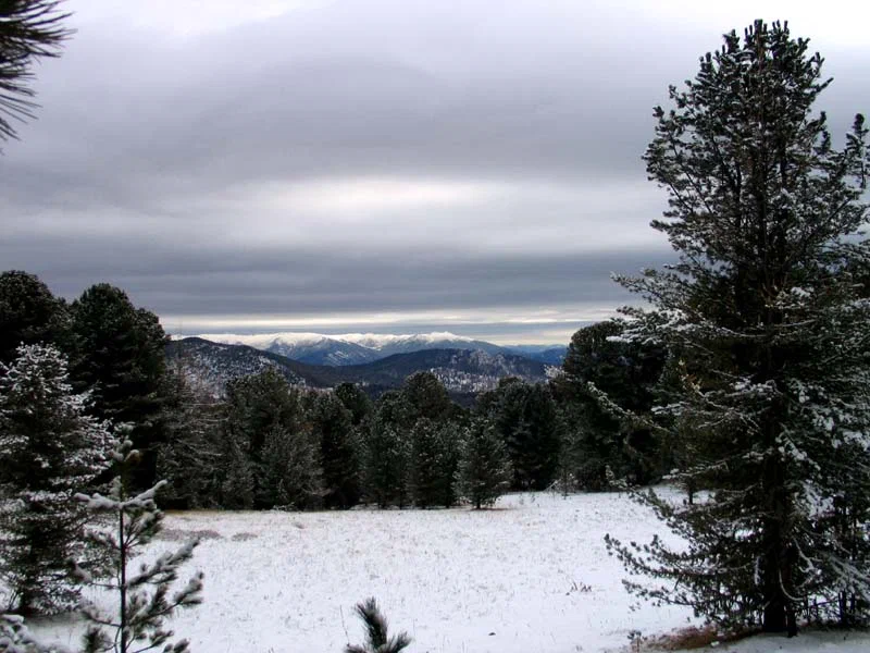 Октябрь на Каянчинском перевале. Республика Алтай. Фото автора.
