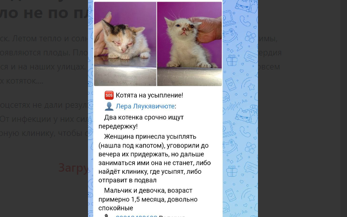 Пост в соцсетях