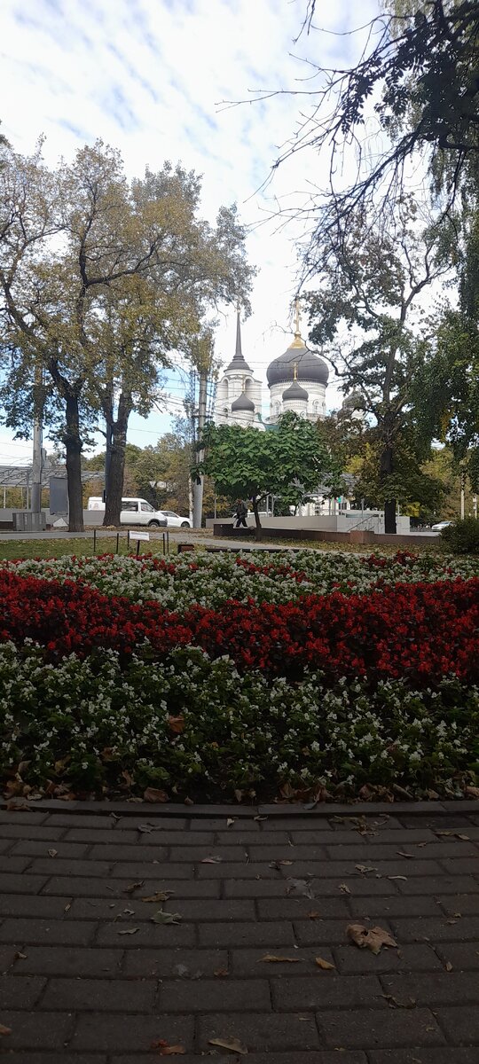 Воронеж всегда прекрасен. В любой сезон, в любой месяц, в любой день. А понедельник ему придаёт силы, шарма и обаяния)