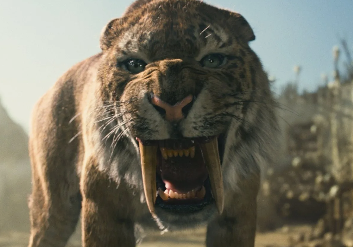 Саблезубые тигры (Смилодоны) обладали уникальной особенностью, связанной с их мощными клыками. Несмотря на то, что их клыки были длинными и внушительными, эти хищники не использовали их для борьбы или защиты в привычном понимании. Вместо этого, клыки были слишком хрупкими для схваток с другими хищниками или для прорывания толстых шкур. Основное назначение этих зубов заключалось в аккуратном прокалывании и перерезании артерий и трахеи добычи. Смилодоны имели специальные мышцы шеи и черепа, которые позволяли им сильно и точно захватить добычу, используя свои мощные передние лапы для удержания. Как только добыча была зафиксирована, саблезубый тигр наносил точный и смертельный укус в горло или шею, используя свои длинные клыки для максимального эффекта. Этот метод охоты был высокоэффективным, но требовал значительной точности и осторожности, чтобы избежать повреждения собственных клыков.
