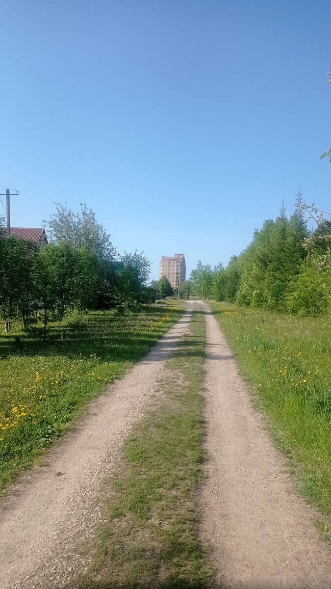 Как хорошо, что кругом много зелени, где можно погулять. 