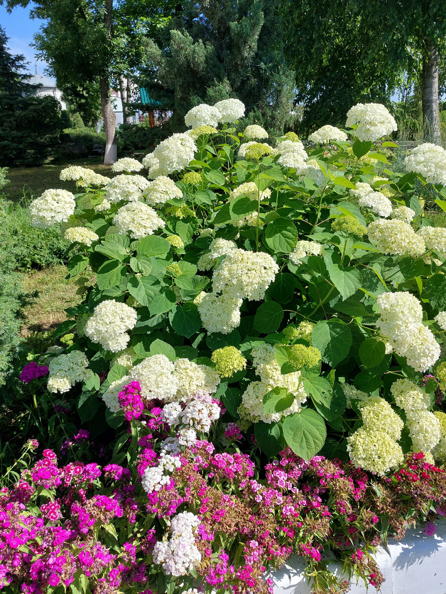 Фото автора для настроения