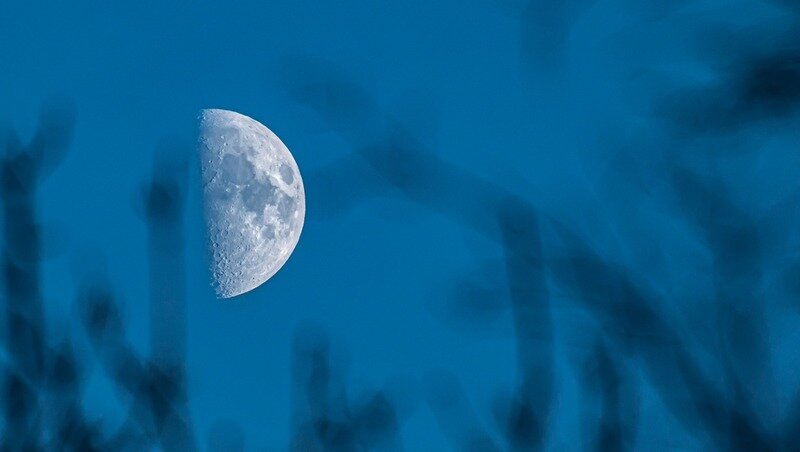 Фото: @EyeEm / freepik.com 