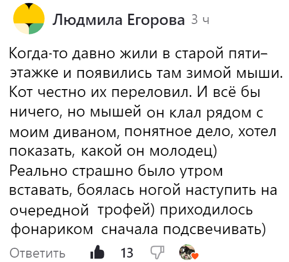 Назван зашкаливающий уровень зависимости молодежи от онлайн-порнографии