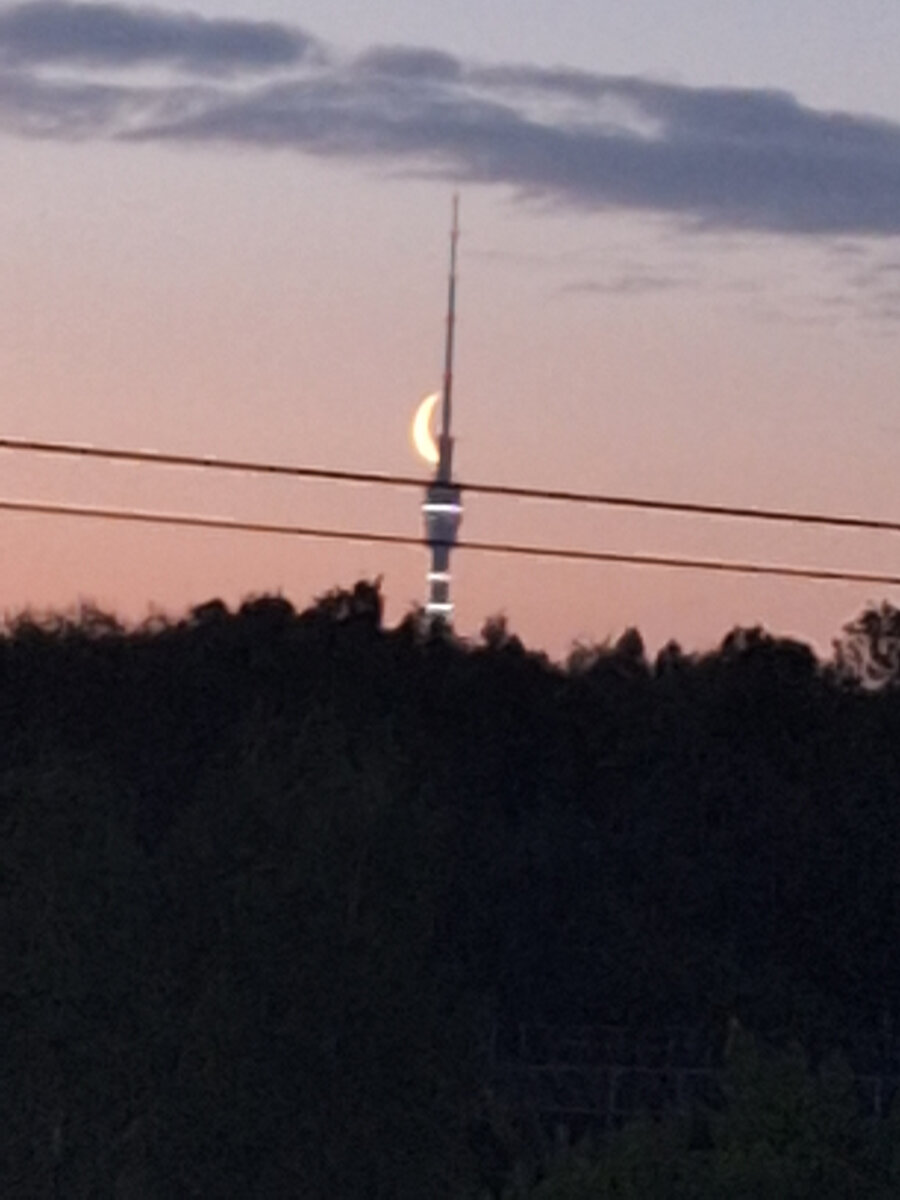 ФОТО - СОБСТВЕННОСТЬ АВТОРА КАНАЛА.