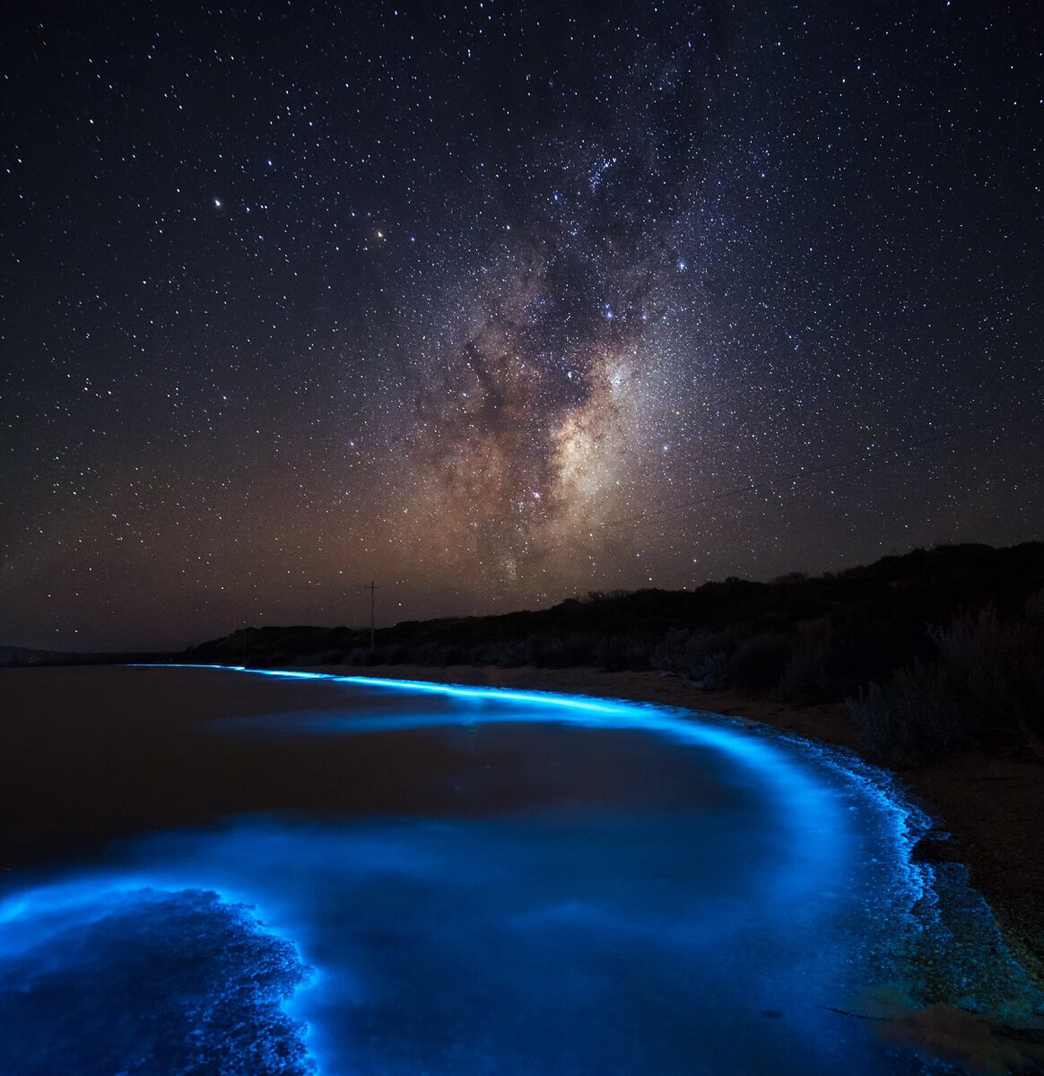 Млечный Путь и биолюминесцентный фитопланктон на побережье Тасмании / Джеймс Гарлик