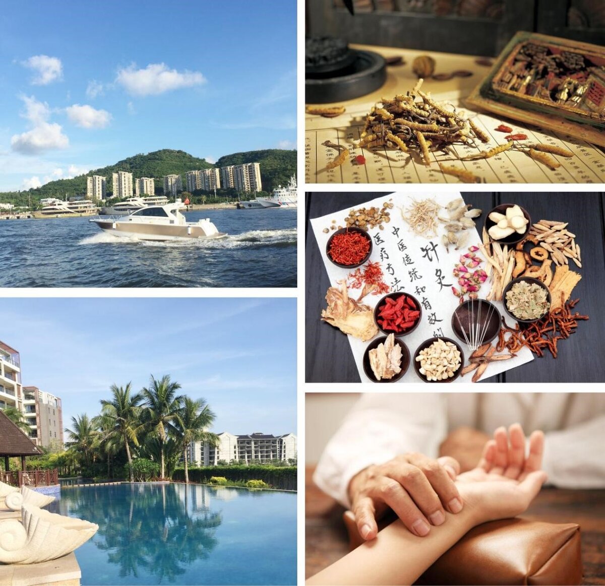 Традиционная китайская медицина на острове Хайнань, Китай