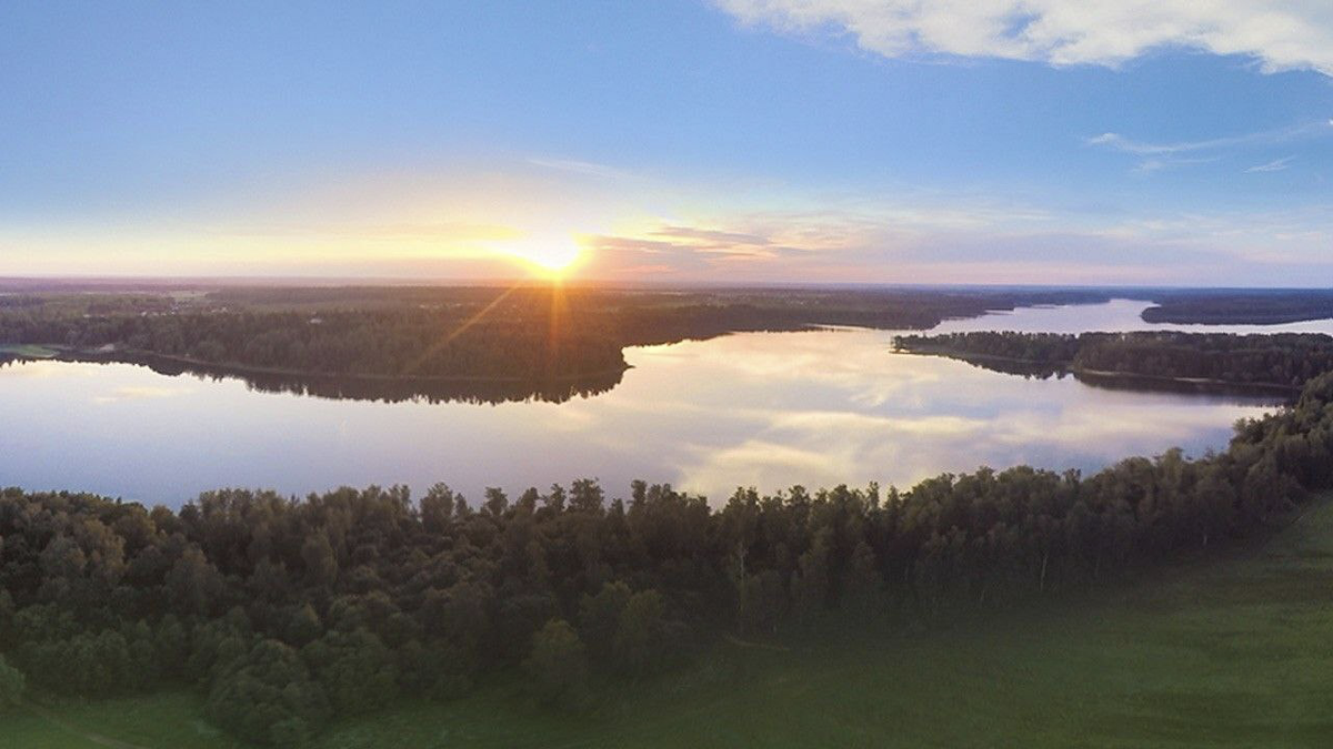 Нетронутая природа и чистая вода. Стоит ли покупать дом (или участок) около  Истринского водохранилища? | AmVe | Дзен