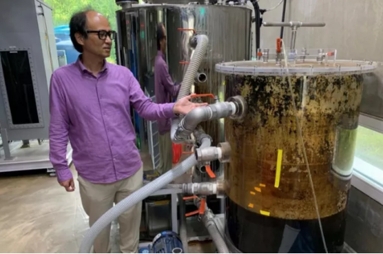 Из фекалий при помощи микробов производится метан