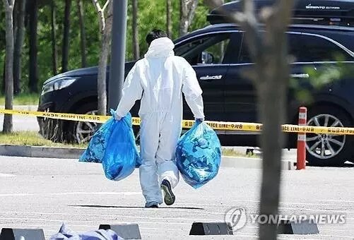 Убирать такие «подарки» приходилось со всей осторожностью. Фото: Yonhap