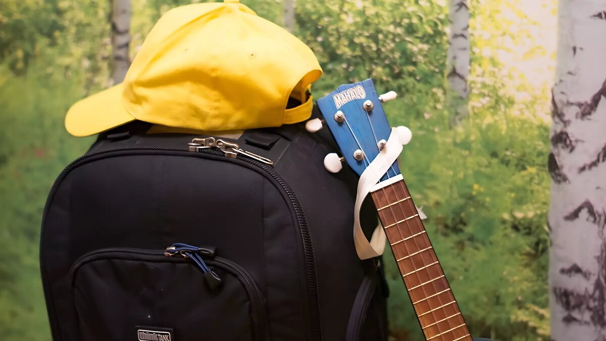     Источник: 1MI