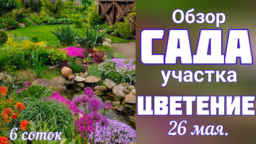 ЦВЕТЕНИЕ сада🌞26 мая🌞 ПОЧВОПОКРОВНЫЕ растения 🌞 САД 6 соток