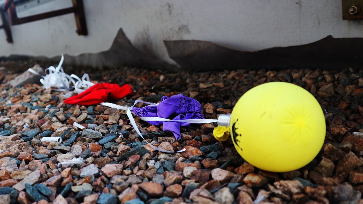     Источник: 1MI