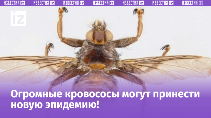 Фото: ИПЭЭ РАН