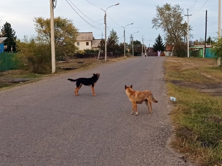 Фото: архив портала “Гуранка”