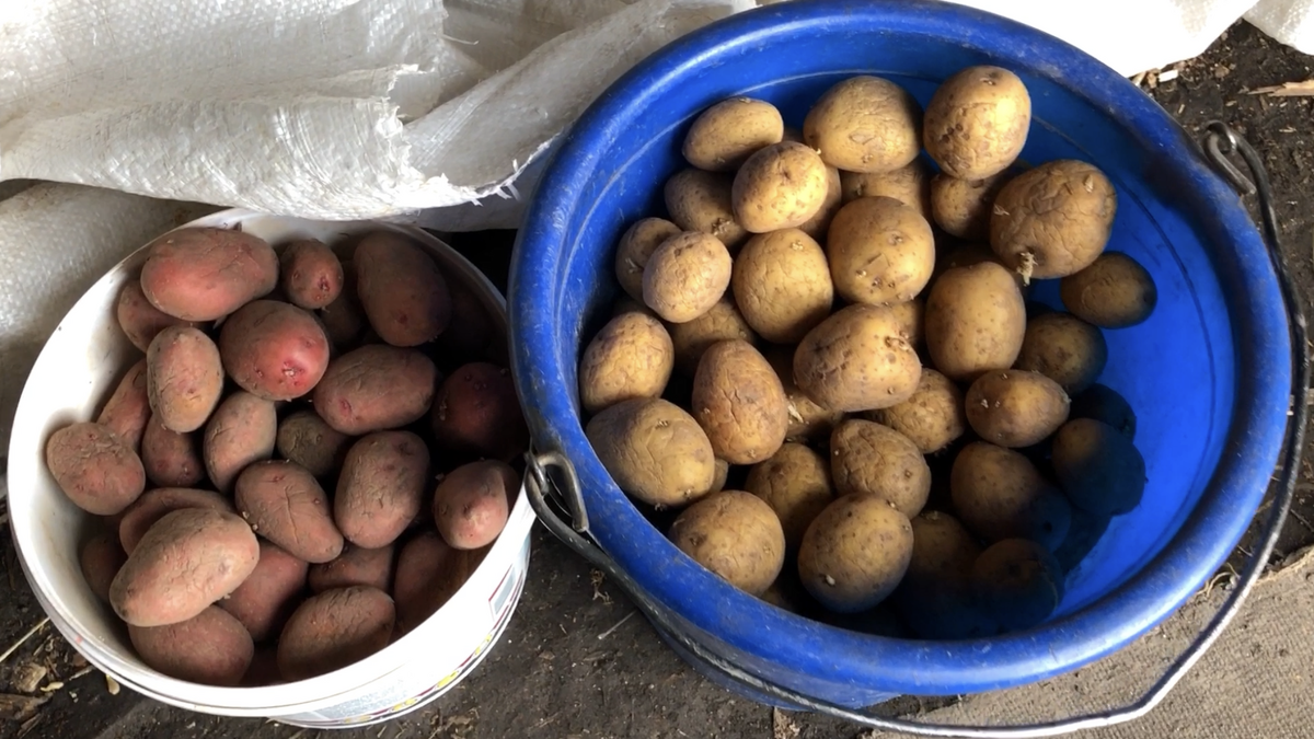 Фото автора блога