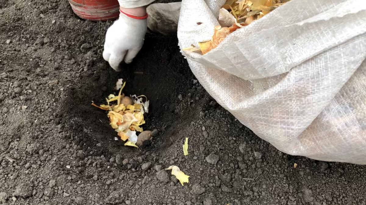 Фото автора блога