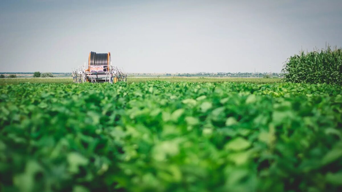     Источник: Изображение Midjourney