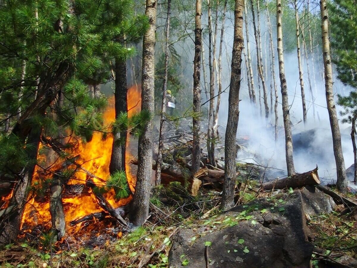    Сотрудники ФБУ "Авиалесоохрана" во время тушения лесного пожара на территории Забайкальского национального парка "Заповедное подлеморье" в Республике Бурятия. Стоп-кадр видео© РИА Новости / ФБУ "Авиалесоохрана"