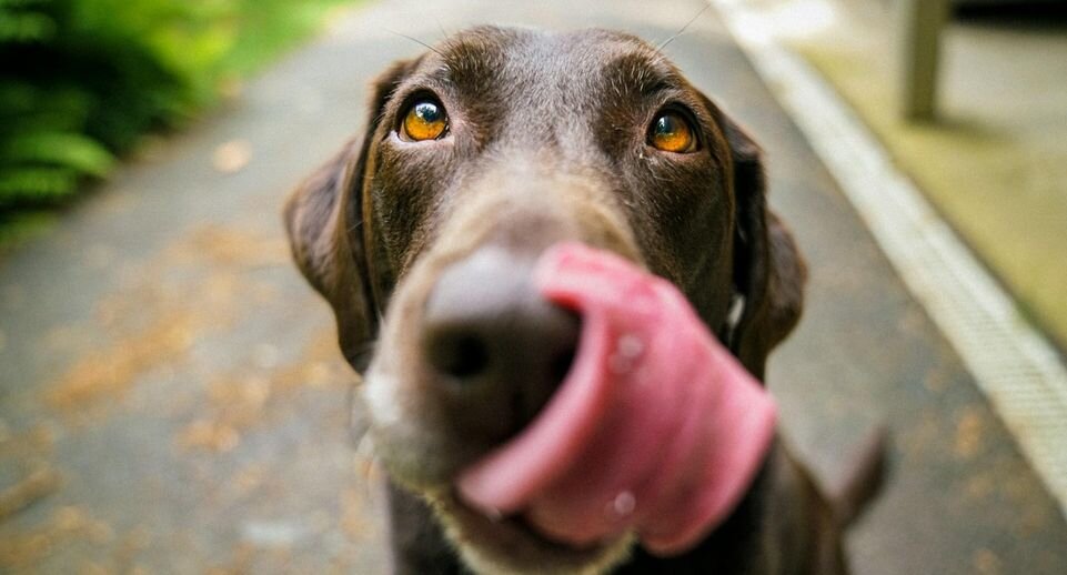    James Barker / Unsplash