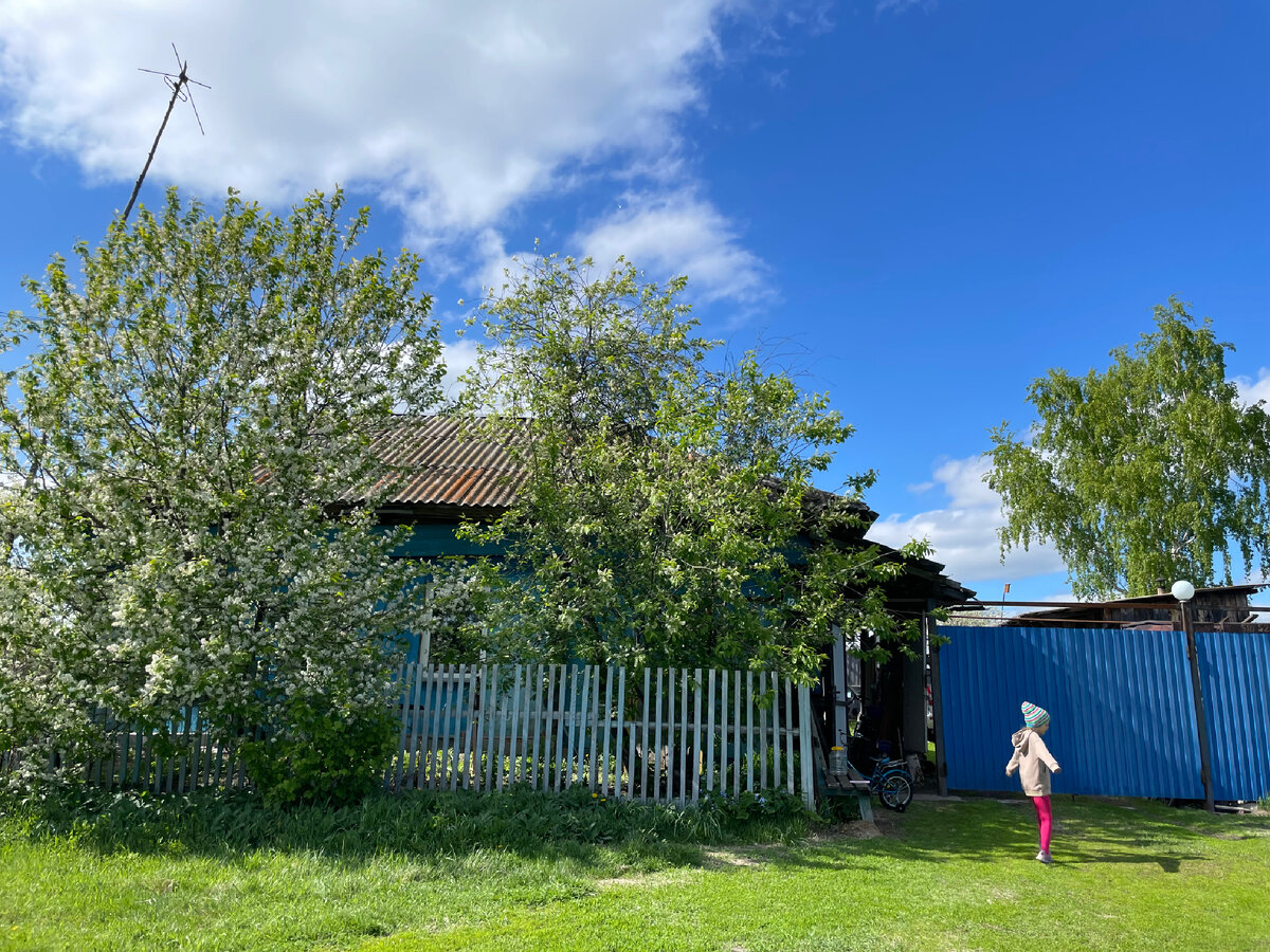 Дом в деревне сейчас