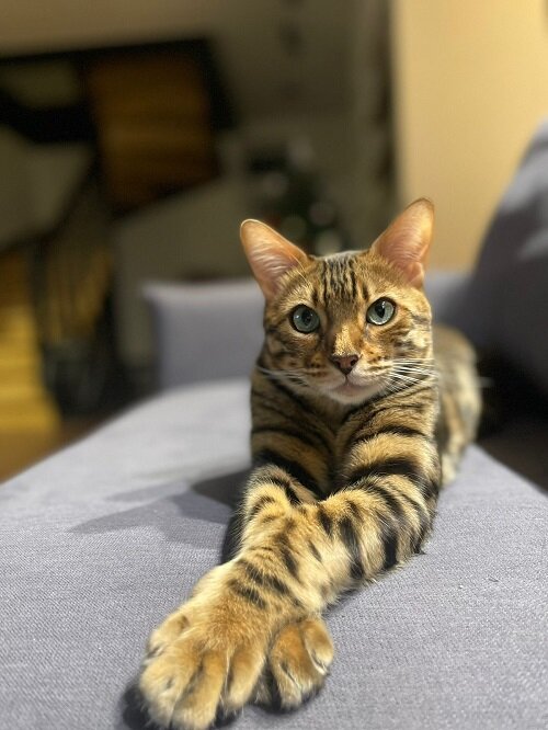    Фото: Амур.инфо