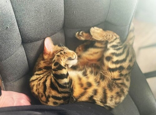    Фото: Амур.инфо