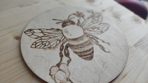 Сделаем рисунок пчёлы. Часть 3 Выжигание по дереву