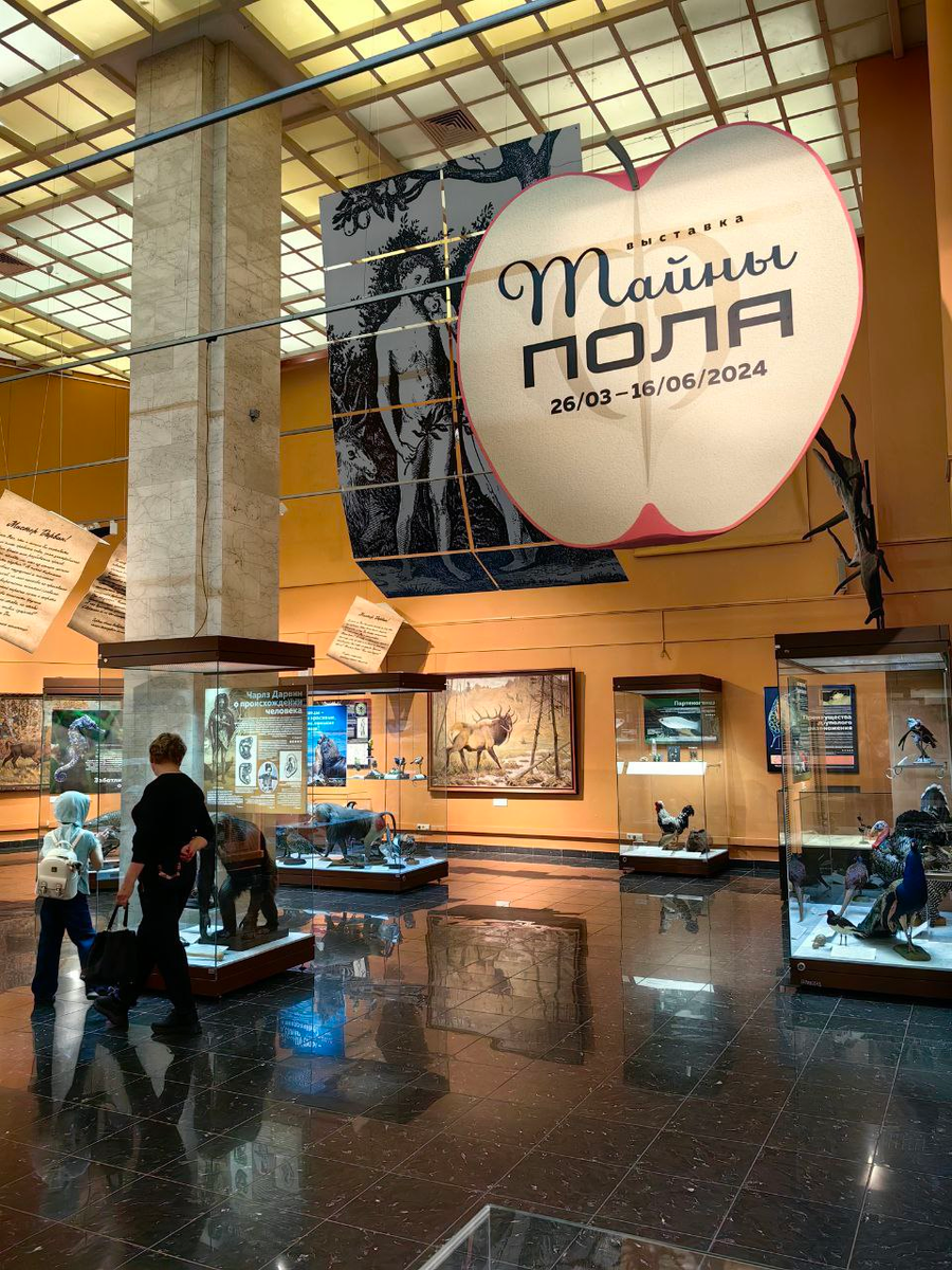 Экспозиция выставки "Тайны пола" в Дарвиновском музее. 