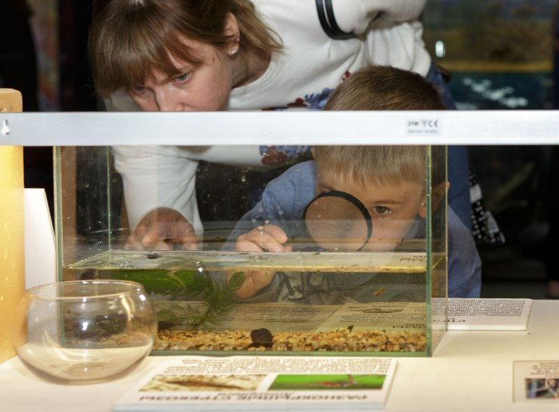 На празднике в Дарвиновском музее можно будет познакомиться с крошечными обитателями аквариума. 