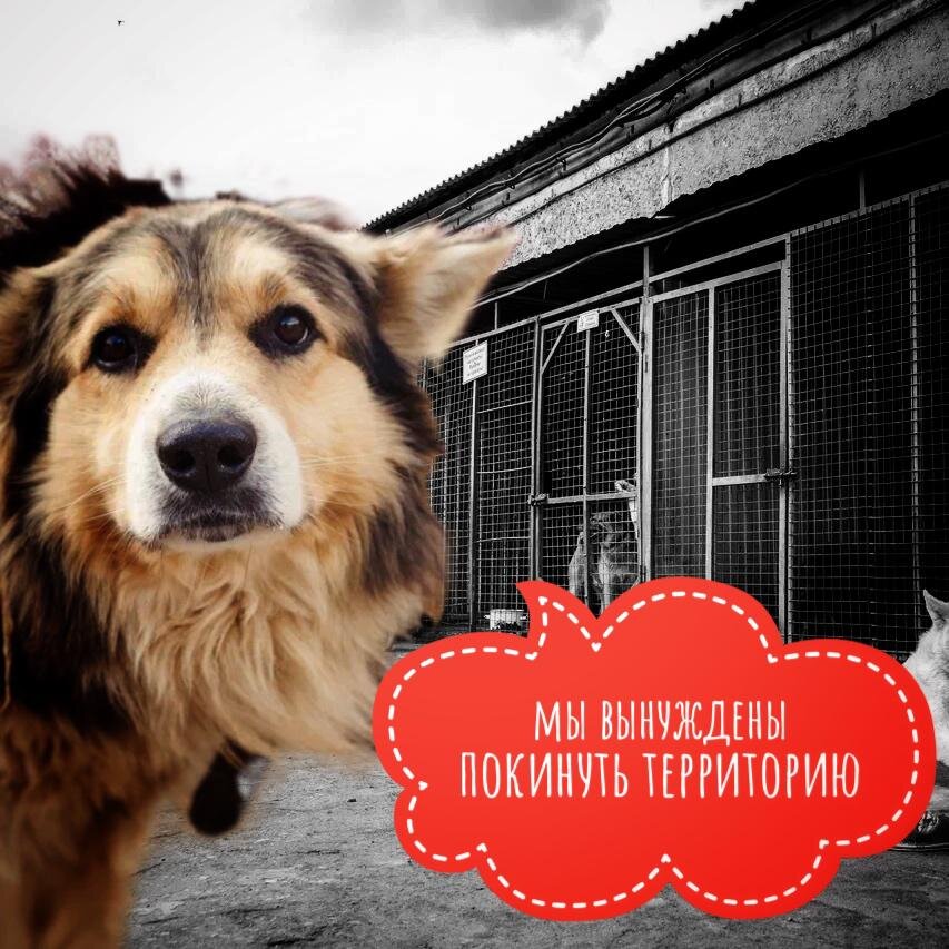 Аренда - самая огромная проблема, которая возникает раз в месяц… 