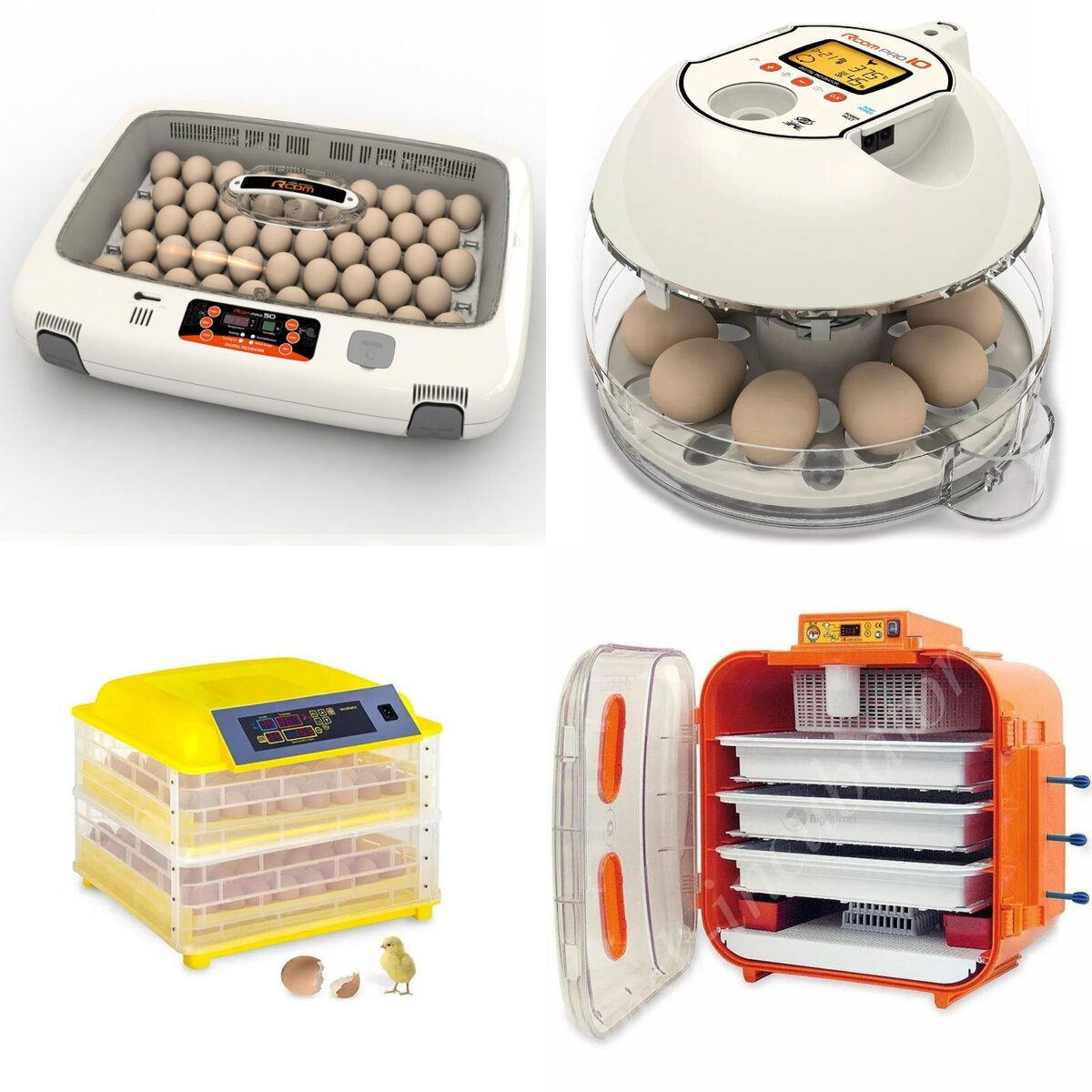 Зарубежные инкубаторы