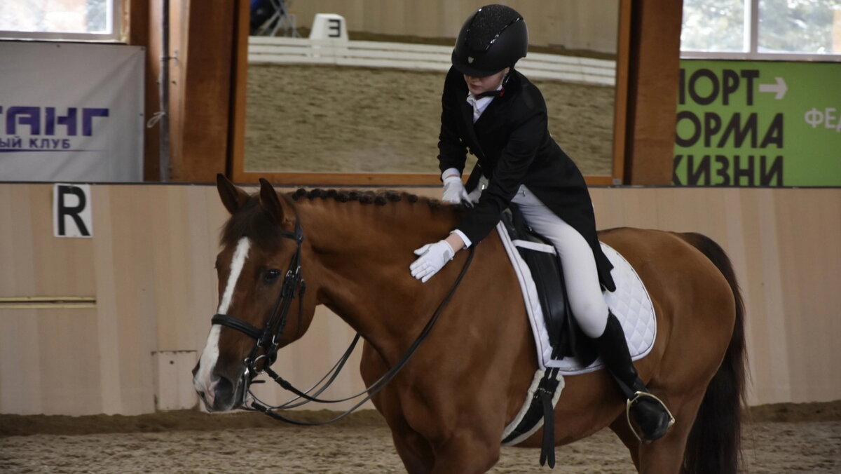    В Сургутском районе прошли соревнования по конному спорту