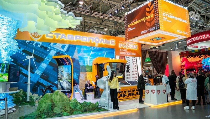      Фото: Александр Скрыпник / / ИА «Победа26»