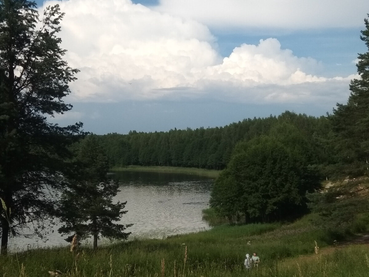 Просто летний пейзаж