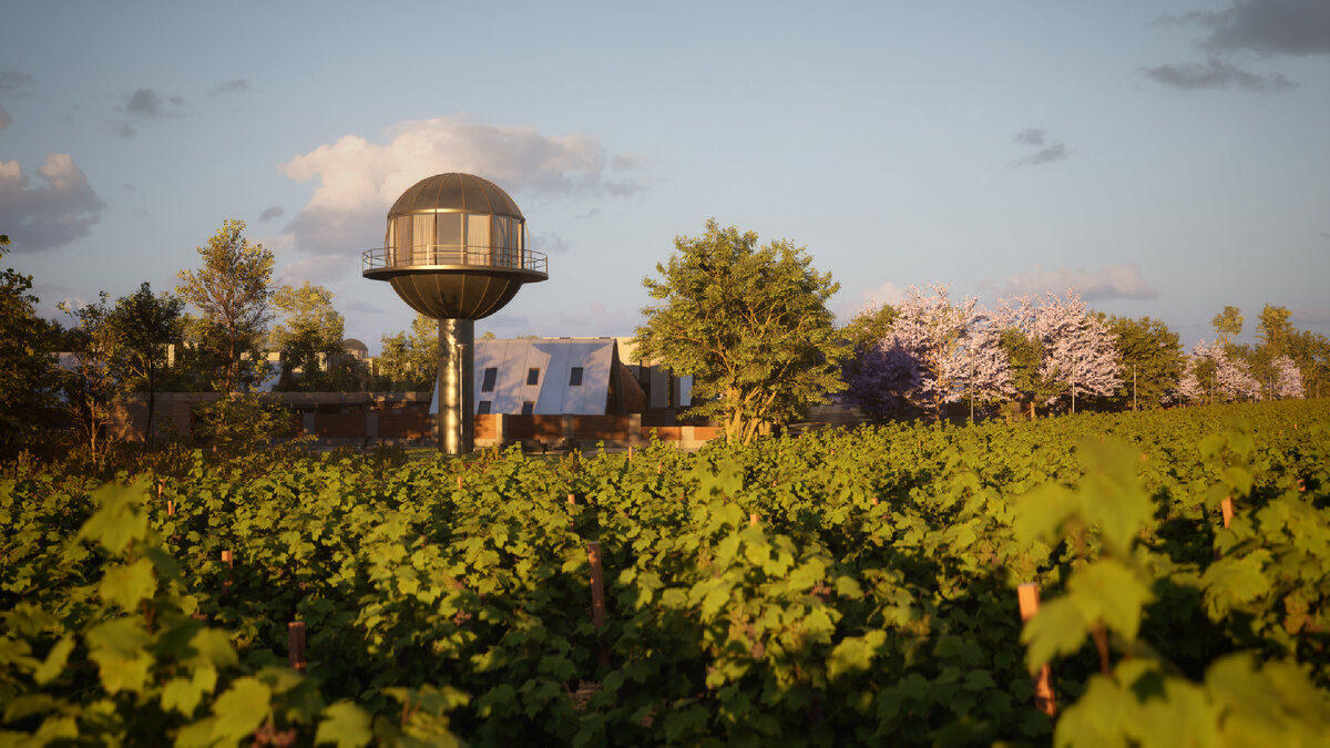 Как вы думаете, такой дом претендует на звание звездный? Напишите своё мнение в комментариях