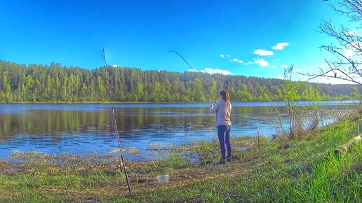 РЫБАЛКА НА ВОЛГЕ ловлю на ДОНКУ и ФИДЕР Russian fishing