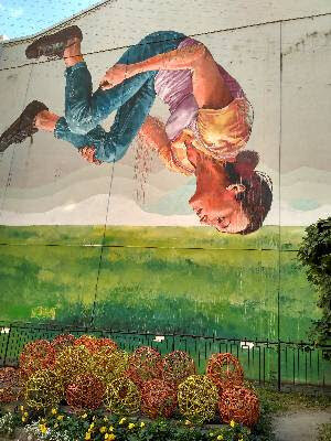 Всё кувырком в этом Дзене 