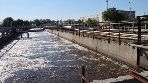    Фото: пресс-служба администрации Краснодарского края