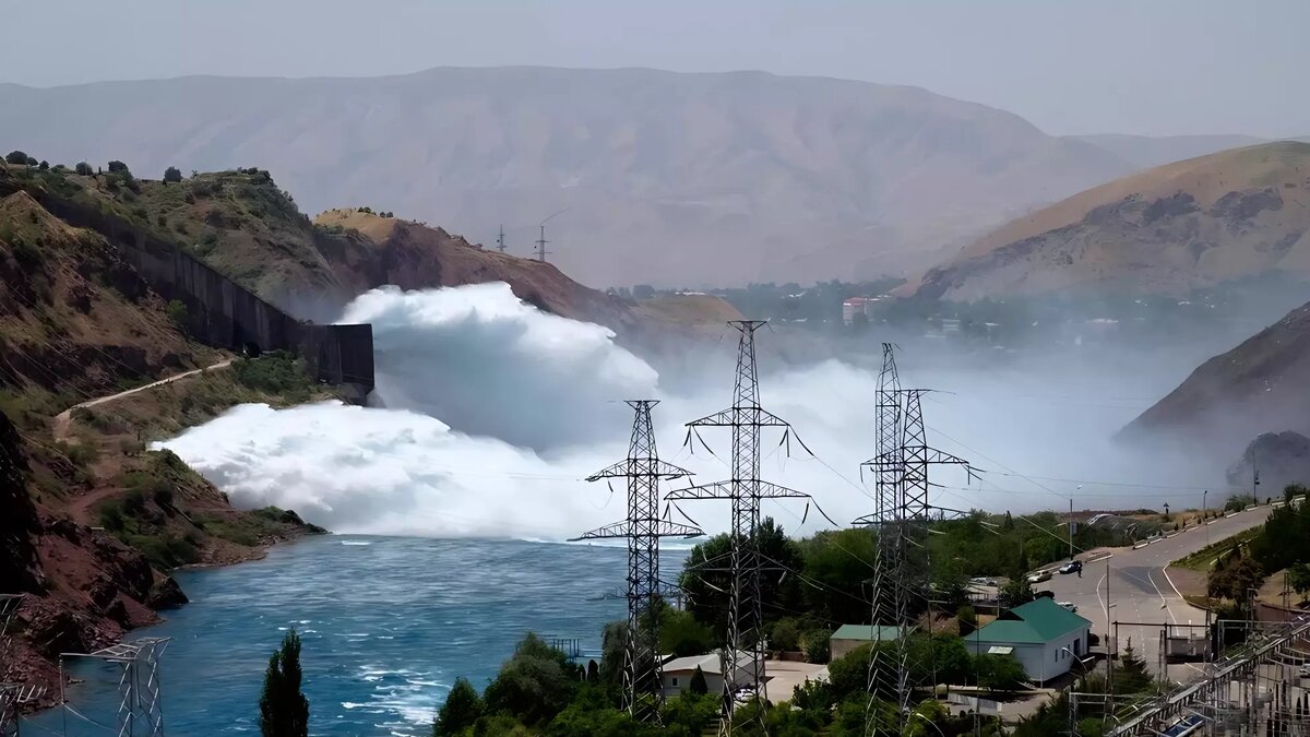     Автор: ТАСС