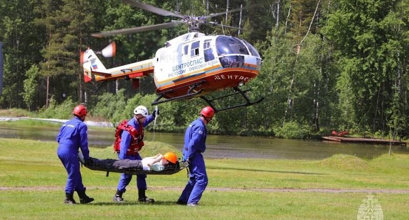    Главное управление МЧС России по Московской области