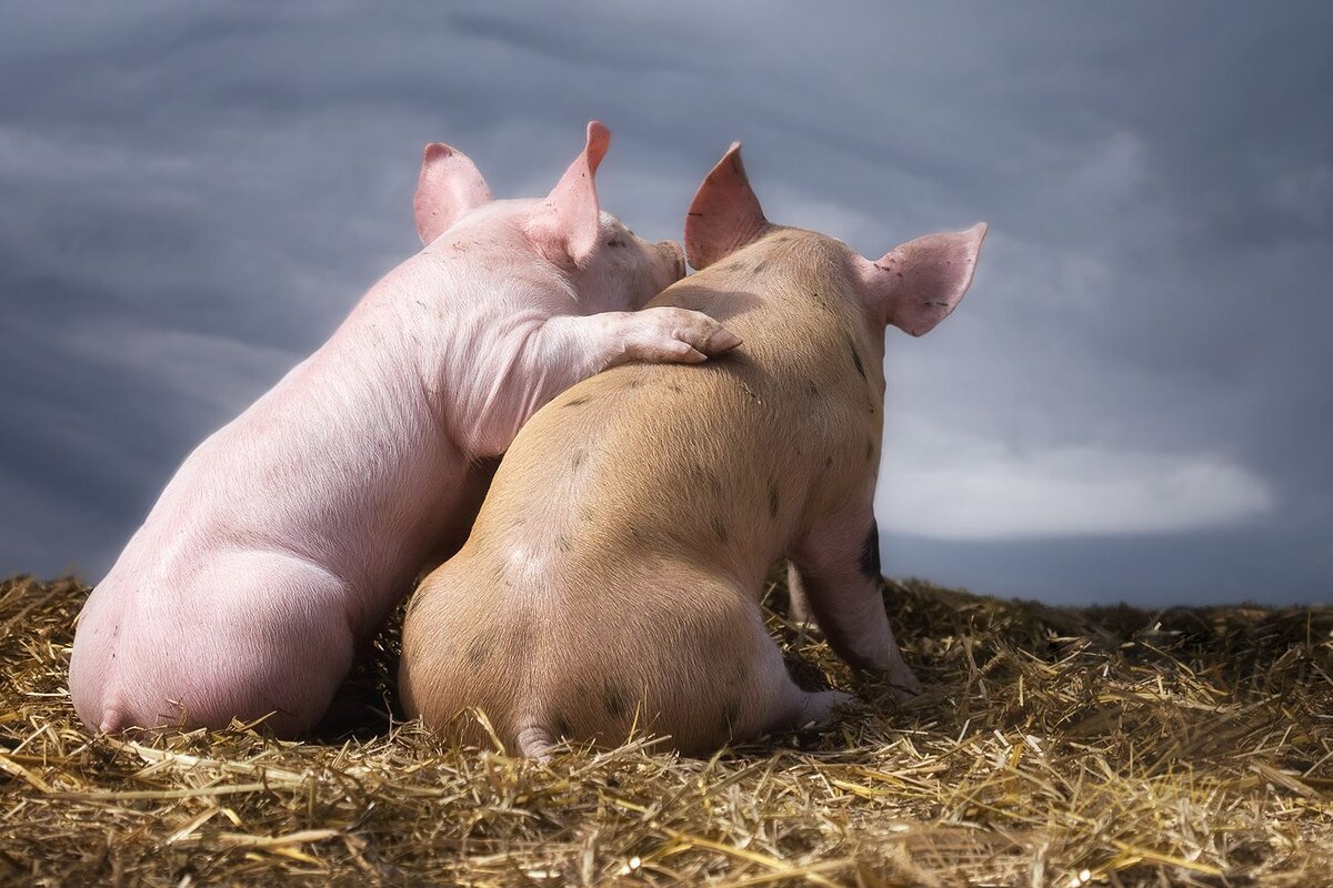 -А я тебе говорила, что отец нас к себе жить не пустит...