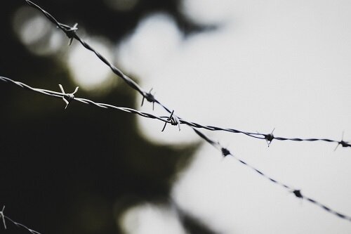    Фото: wirestock/freepik.com