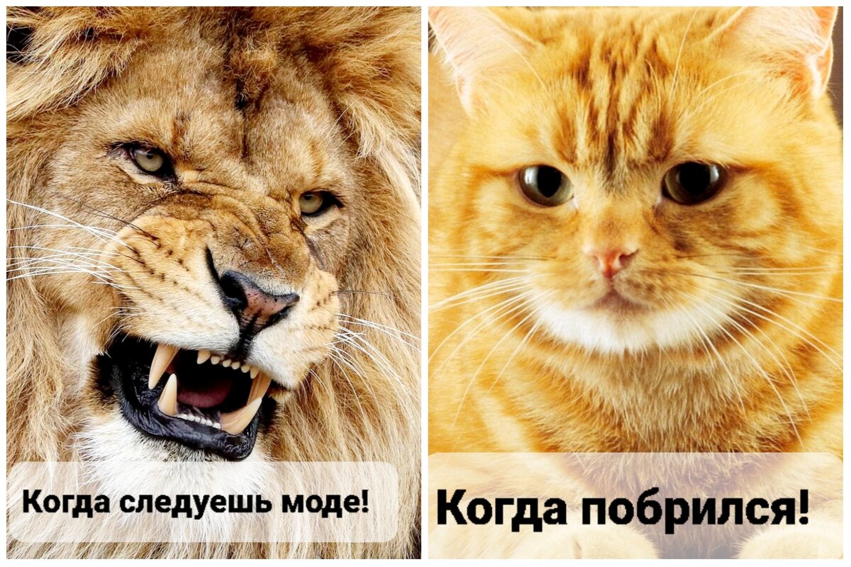 Мода такая мода😄